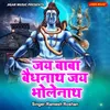 About Jai Baba Vaidhynath Jai Bhole Nath Song